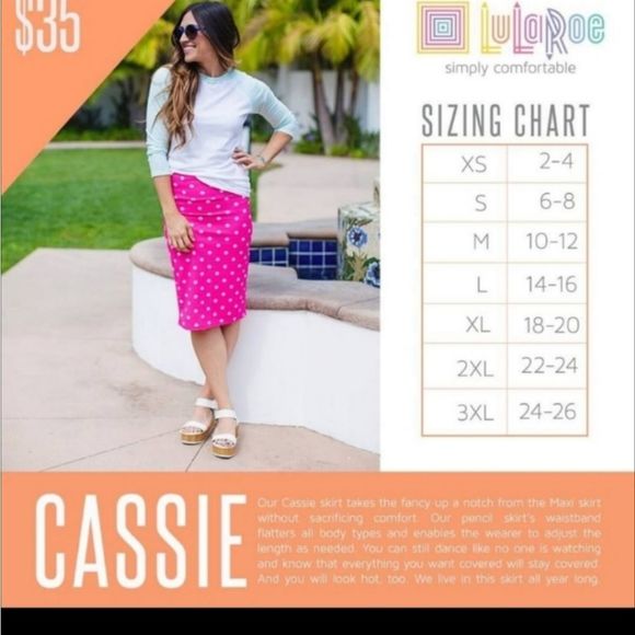 Lularoe Cassie skirt - NWT - size 2XL - grey with cream and red - Picture 4 of 5